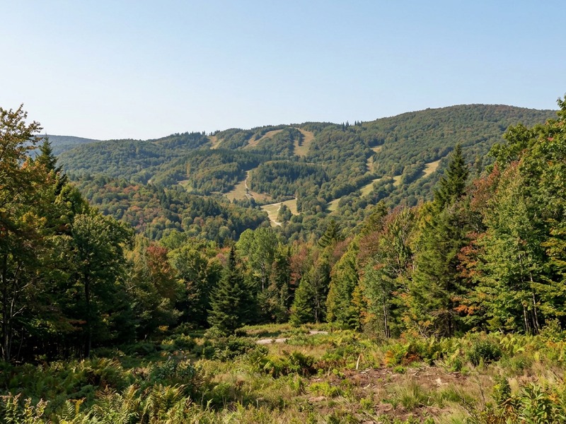Early-autumn Pocono valley with natural woodland and open ground beneath a wooded ski mountain crossed by cleared trails